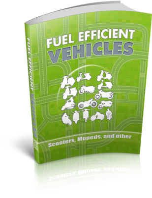 Fuel Efficient Vehicles (E-Book)