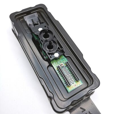 dx4 printhead roland 6000005213