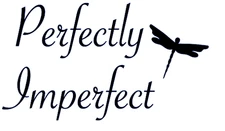 Perfectly Imperfect Dragonfly Vinyl Decal Sticker Car Home Mirror Laptop Craft