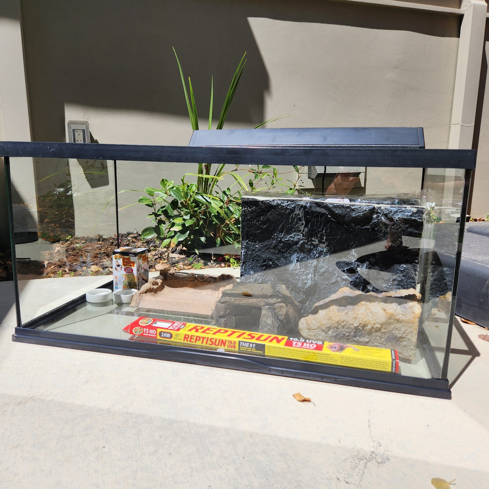 40 gallon reptile tank with accessories | eBay
