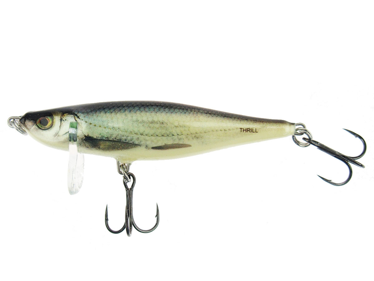 Salmo Thrill Twitchbait rapfenköder blue fingerling BF - im Köder Laden