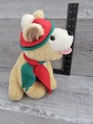 Foto 7 di 7