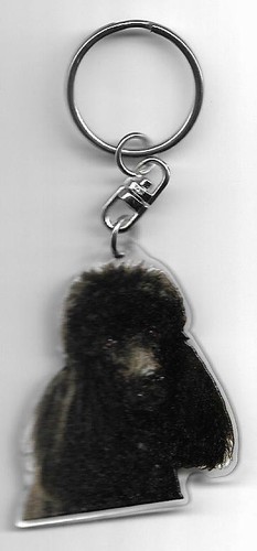 Porte-clés Métal Caniche - Animaux Domestiques - Design Drôle Et Noble - Argent - Allemagne