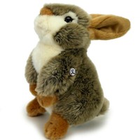 Hase Kuscheltier Kaninchen HäSchen Feldhase Sitzend PlüSchtier Kathi