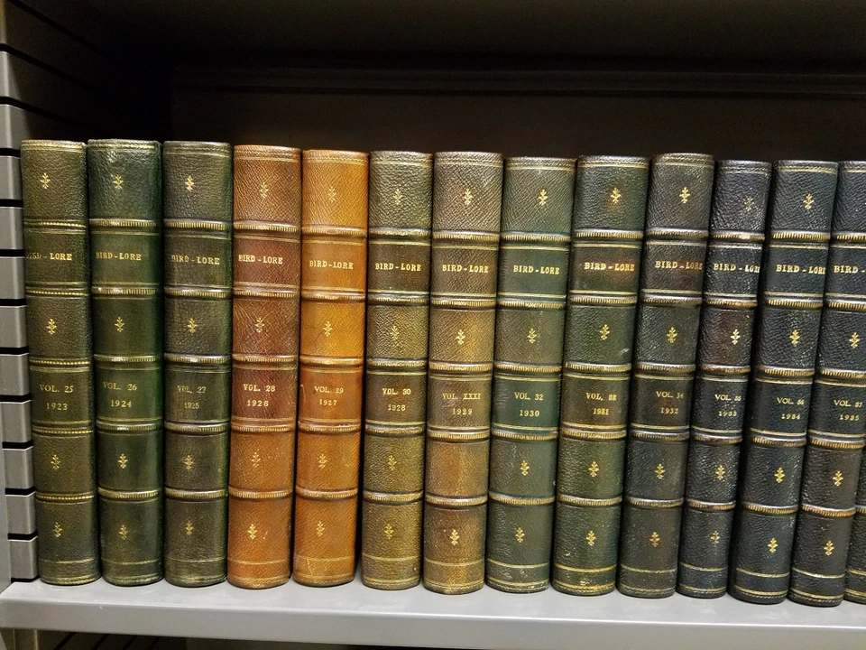 Bird-Lore 1899-1940 Complete Run 42 Vols Moroccan Fine-Binding Audubon Society - Image 4 of 4