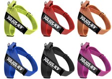 Julius K9 IDC Gurtbandgeschirr mit Logofeld - leichtes Hundegeschirr