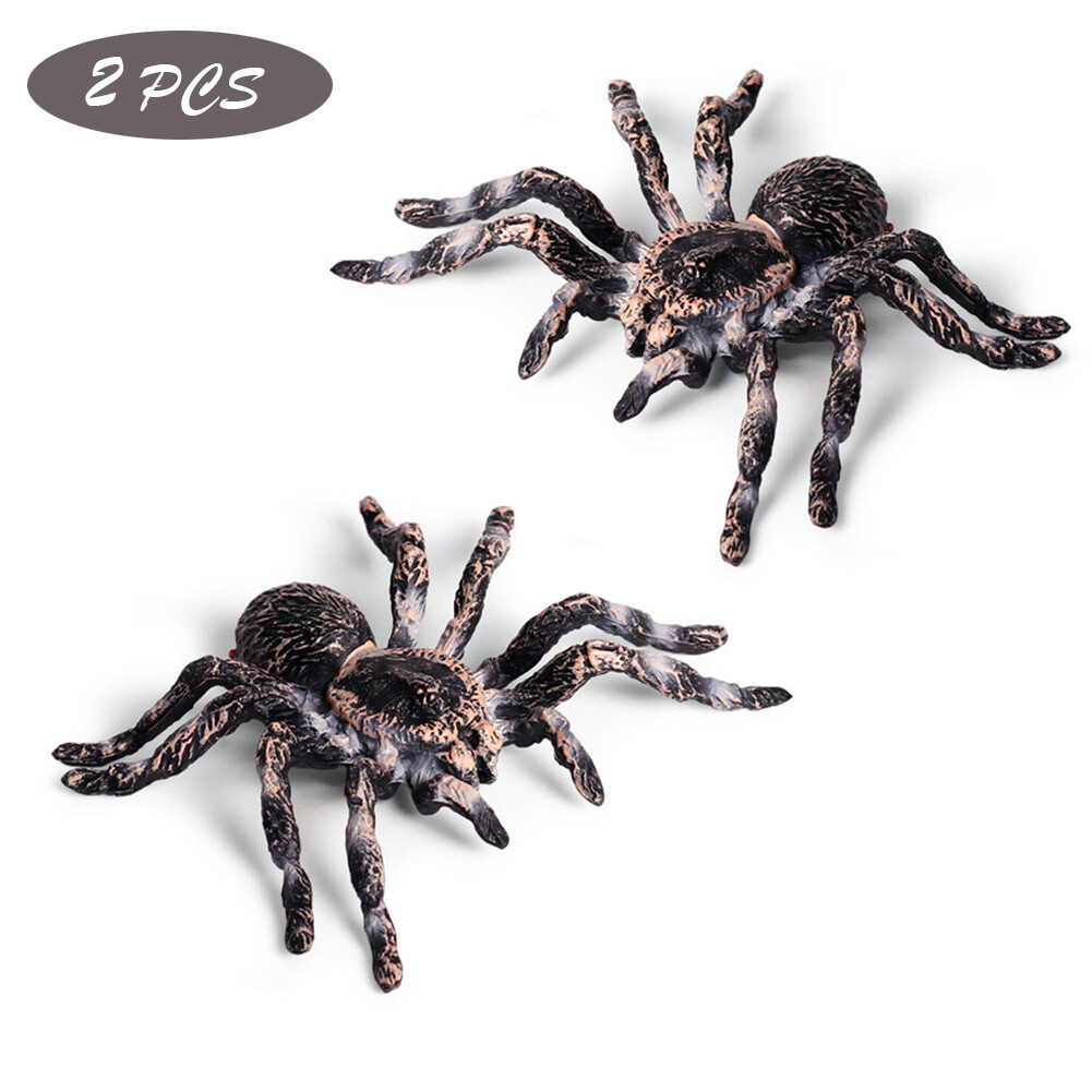 plastic spider toy