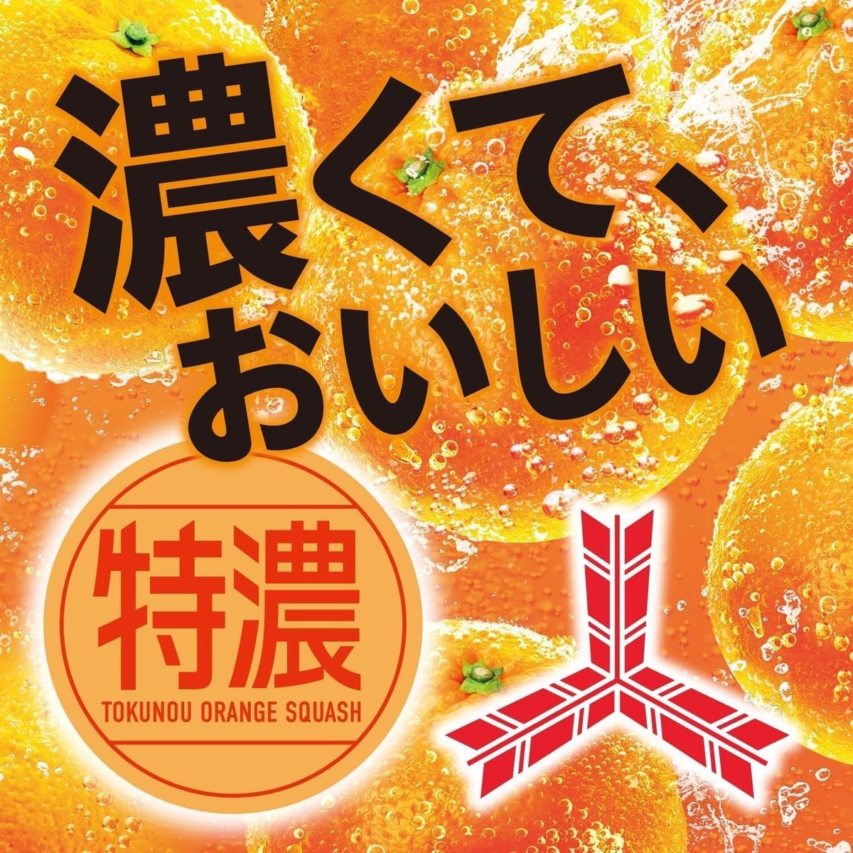 Asahi Soft Drinks Mitsuya Cider Tokuno Orange Squash 500ml x