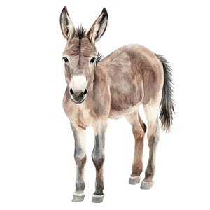 Farm Animals Donkey Self Adhesive Vinyl Sticker