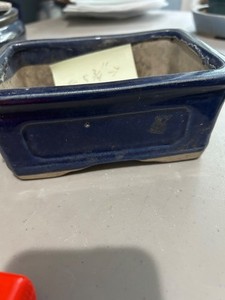 Rectangular Glazed Bonsai - Blue  Glazed