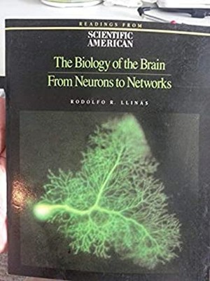 The Biology of the Brain : From Neurons to Networks Paperback