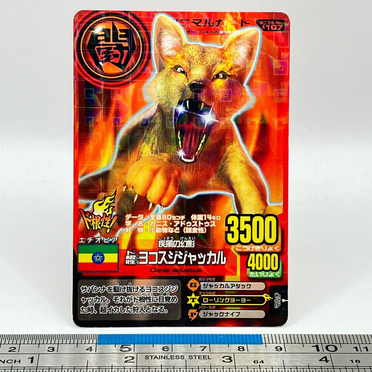 Courageous Side-striped Jackal Animal Kaiser A-107 AK Card Bandai
