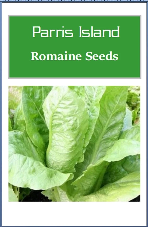 Semillas de lechuga Parris Island | Semillas de lechuga no transgénicas | Semillas de jardín de reliquia Foto 2 de 2