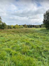 Wiesen-, Weide- oder Grünland - 14.569 m²