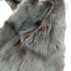 Bild 2 von 3