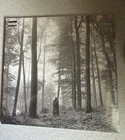 Taylor Swift In The Trees Folklore Vinyl Record - NEW and SEALED