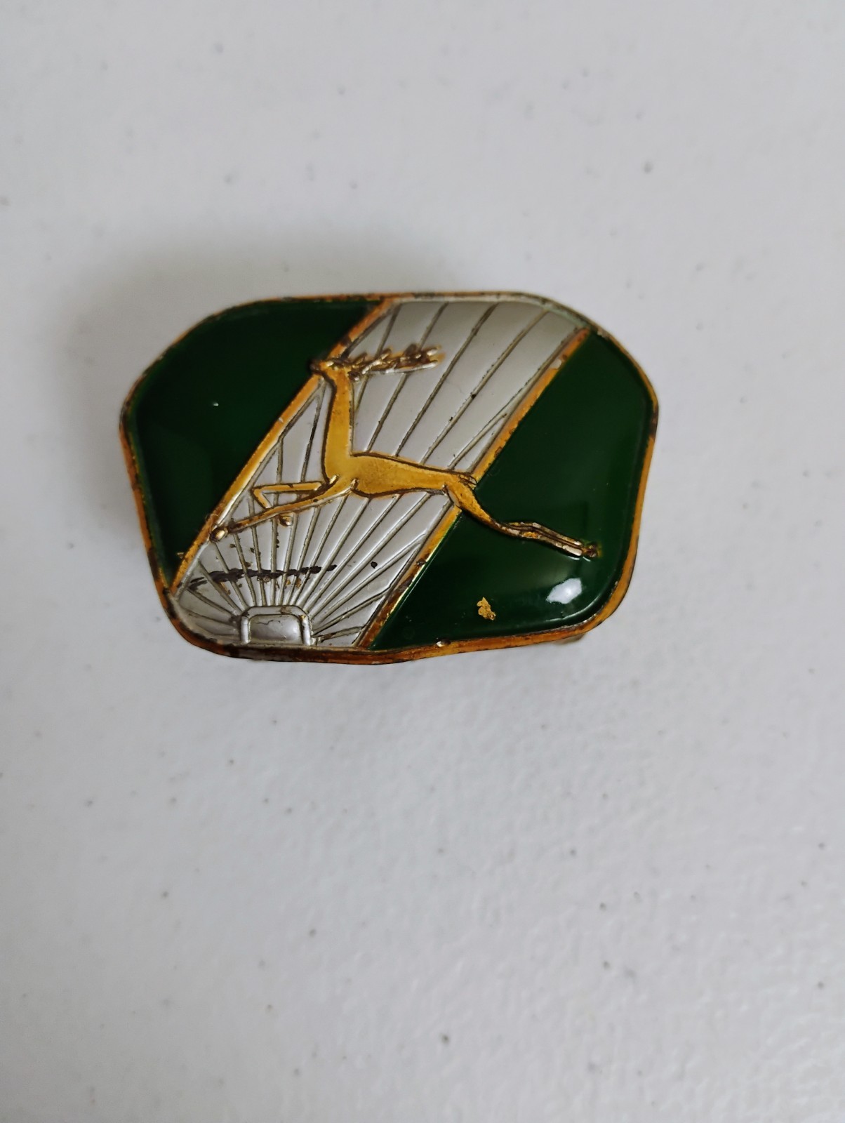 Picture 3 of 14