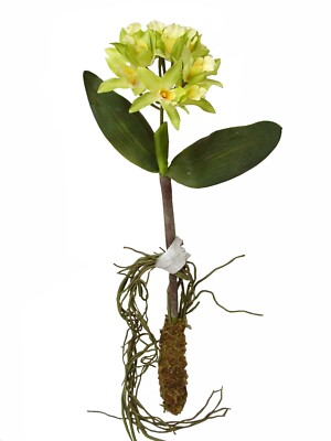 (01509) Künstliche Blume Orchidee Phalaenopsis Orchidee Blätter Wurzel Grün