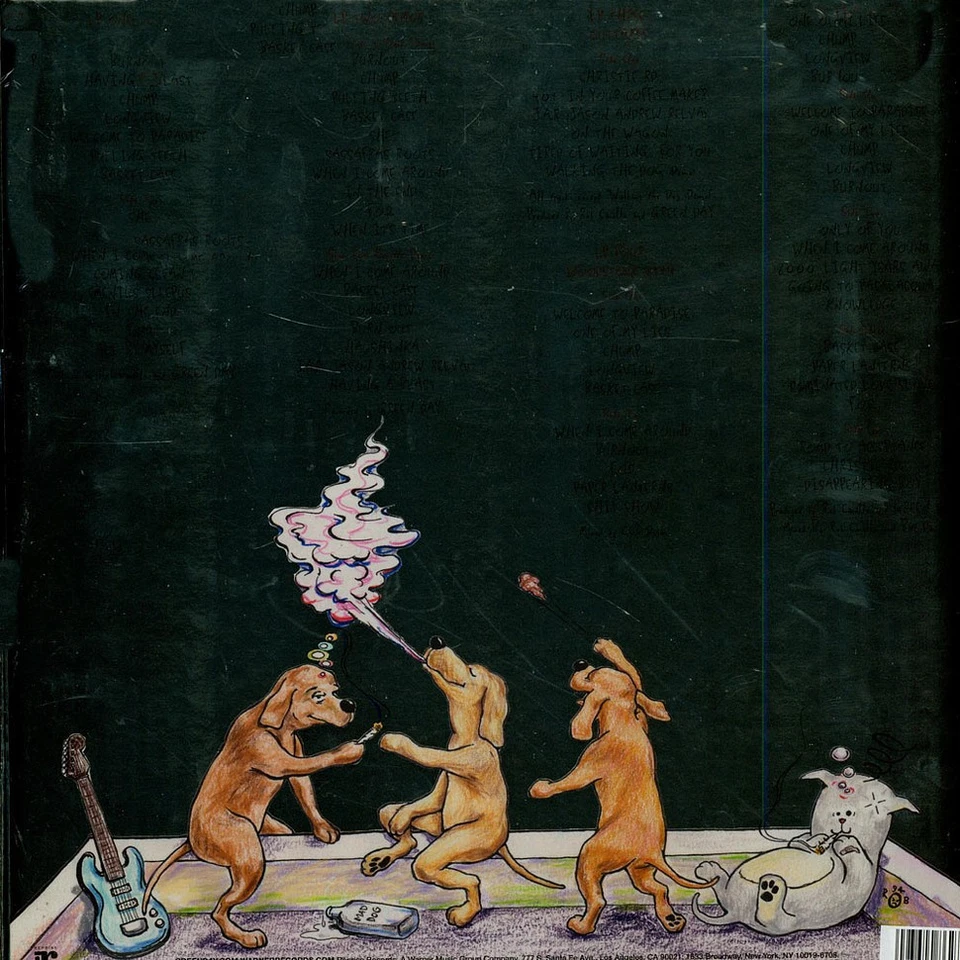 Green Day - Dookie 39th Anniversary Colored Vinyl Edition (1994 - EU - Reissue) - Bild 2 von 2