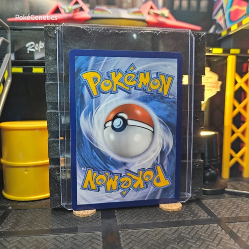 Froakie Cosmos Holo Promo Fiamme Ossidiana Pokémon TCG 056/197 Scarlatto e Viola - Foto 4 di 6