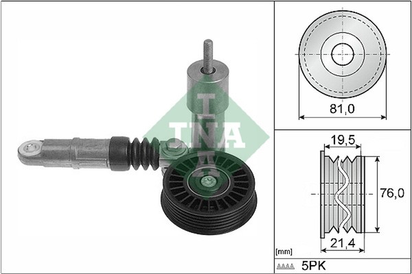 INA Multifr. Riemenspanner VW1.9TDI-image