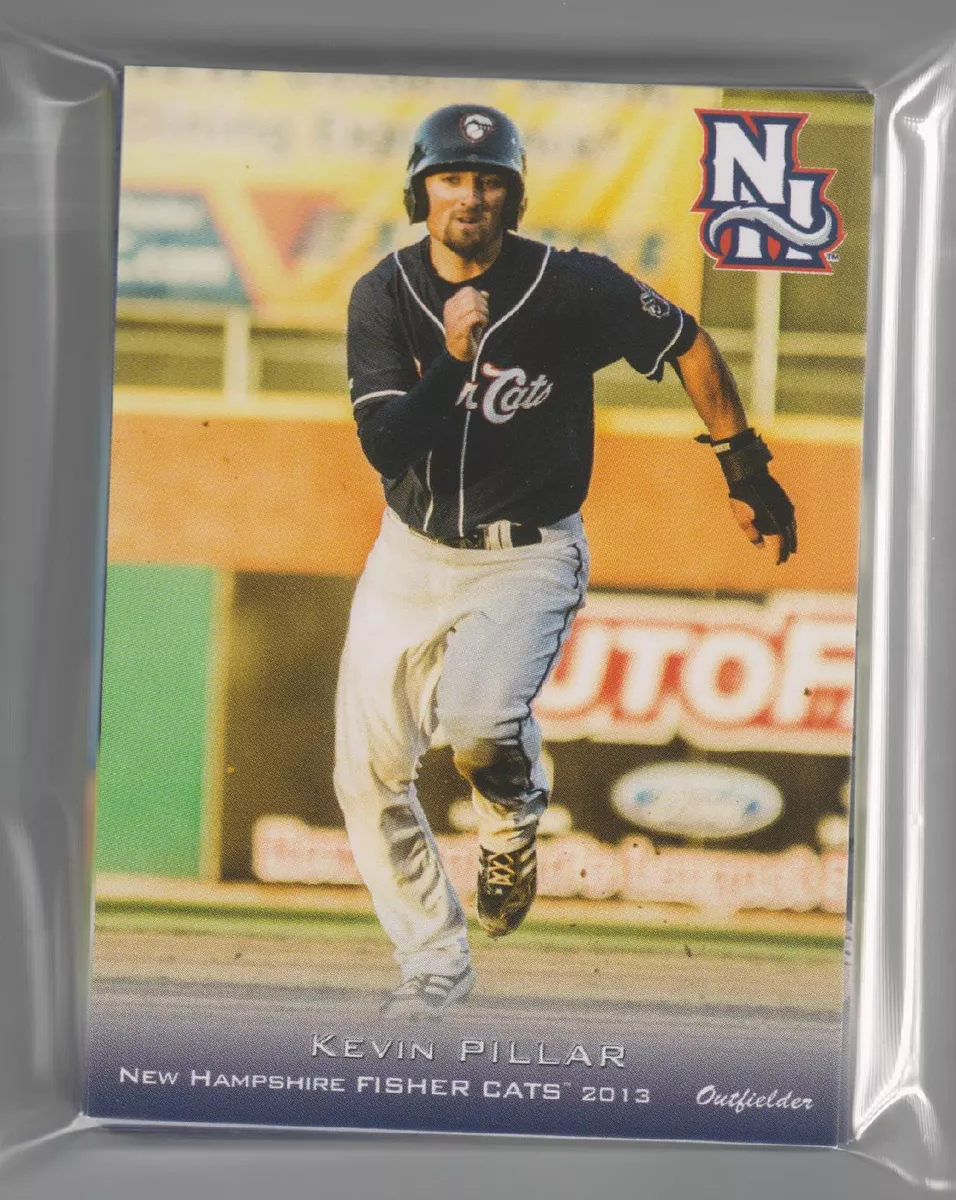 Udtømning familie effektivitet 2013 NEW HAMPSHIRE FISHER CATS TEAM SET MINORS AA TORONTO BLUE JAYS NEW COMPLETE | eBay Udtømning familie effektivitet 2013 NEW HAMPSHIRE FISHER CATS TEAM SET MINORS AA TORONTO BLUE JAYS NEW COMPLETE | eBay