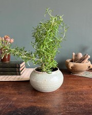 Studio Pottery Ribbed Bowl Pot