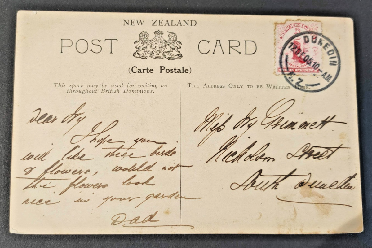 ハガキ NEW ZEALAND 1905 KAKAPO / KIWI ILLUSTREATED POST CARD (JF) | eBay