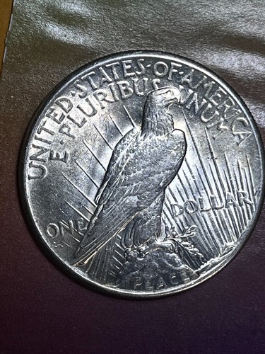 1928 P Dollaro della Pace Bellissimo MS CH BU eccezionalmente bello - Foto 4 di 7
