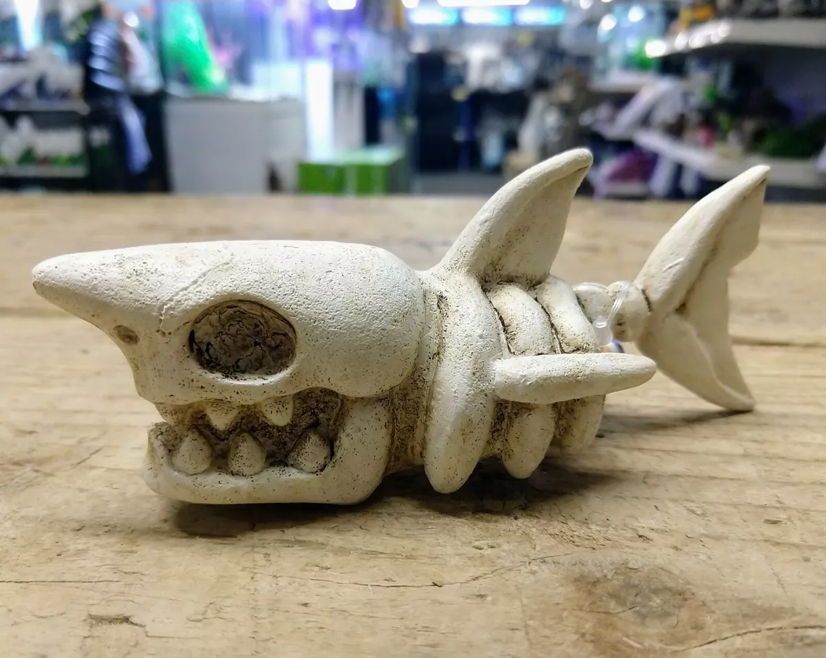 Shark fish tank decoration 2025