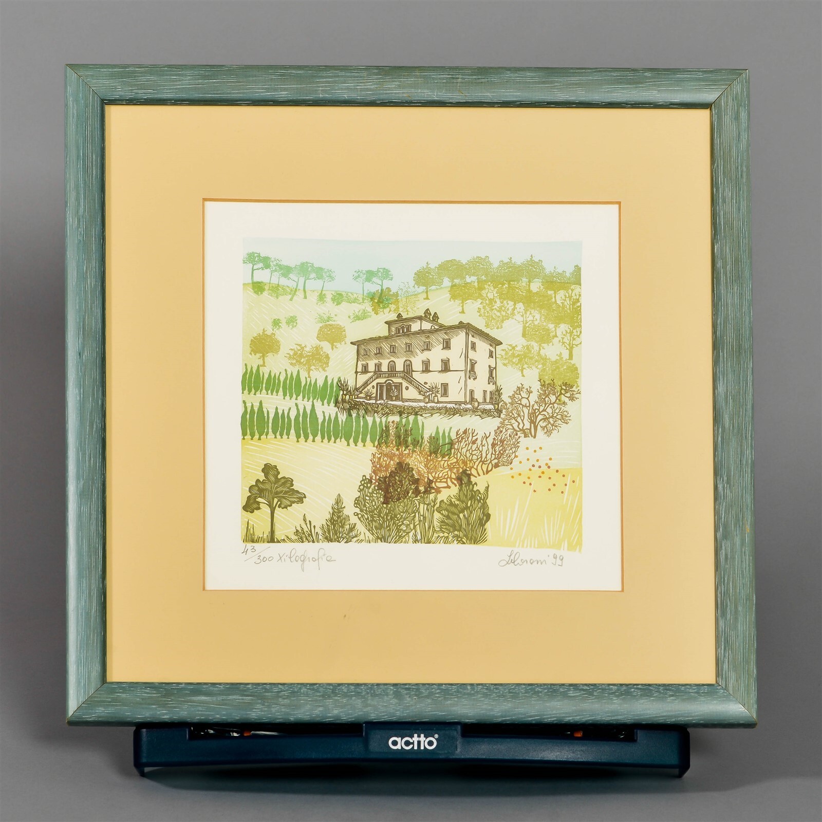 Original Print "Palazzo Terranova" Woodcut 43/300 Signed Libram 7.5" x 8" Framed