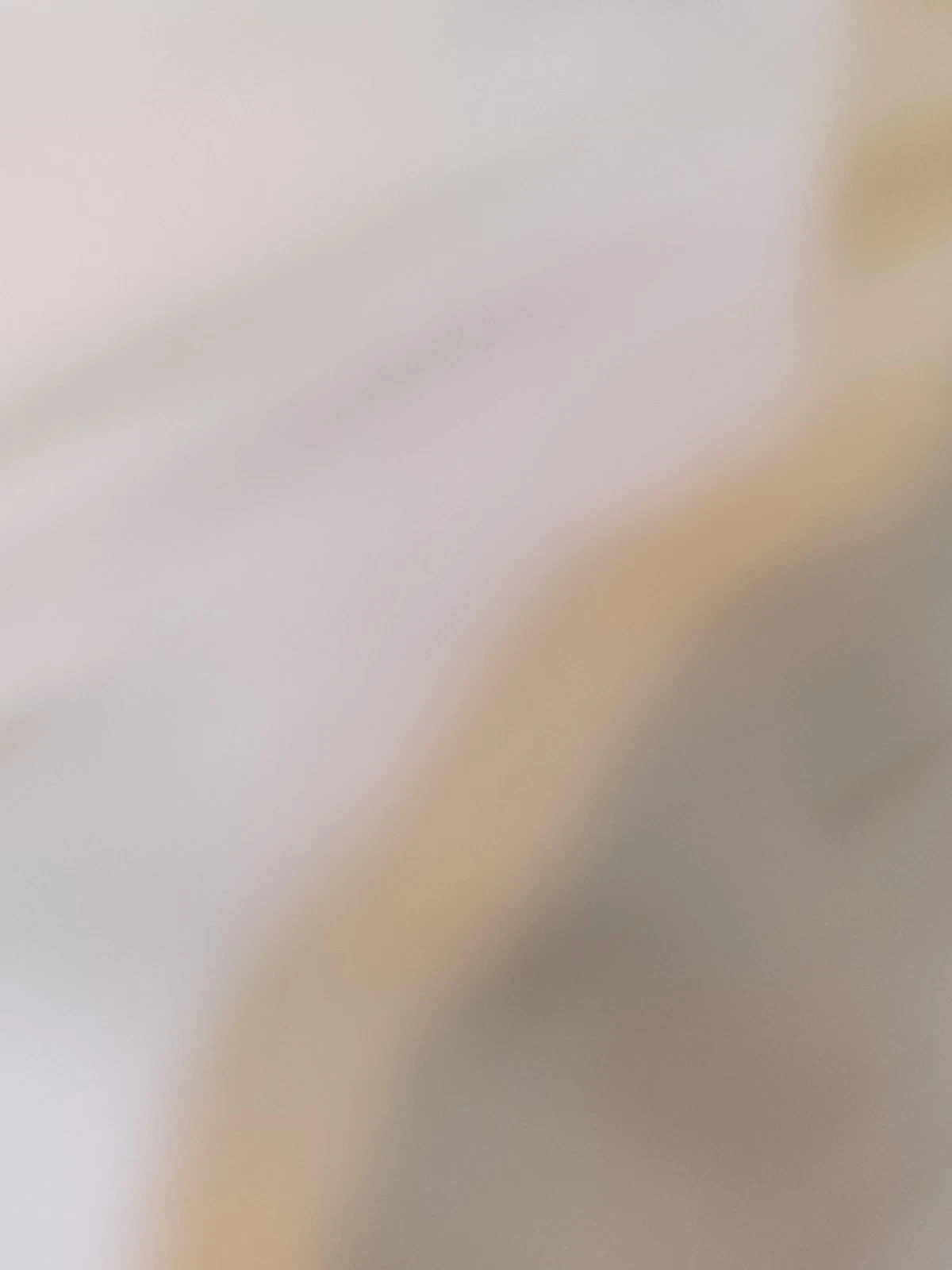 Foto 16 di 16