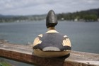 Goldeneye Drake decoy, original paint, painted eyes, by WFS, inletted head. — photo 6