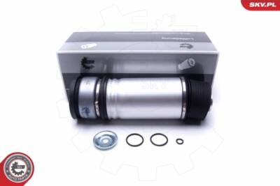 ESEN SKV 58SKV063 Luftfederbein für BMW