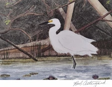 5"x7" art print "Snowy Egret" wildlife/birds/signed by the artist/home decor
