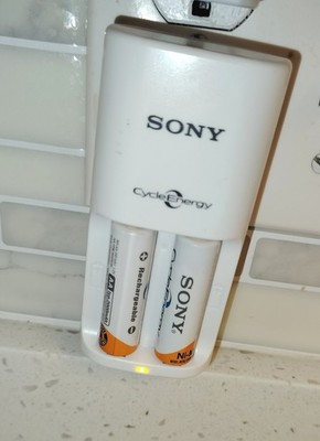 Original SONY Battery Charger BCG-34HS With Two Sony NI-MH batterirs