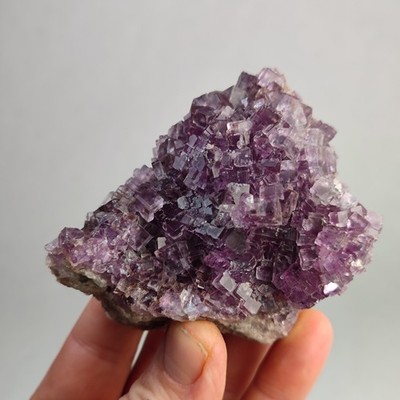 🔥Fluorit parketiert ,Durango Mexico ,violett 🔥