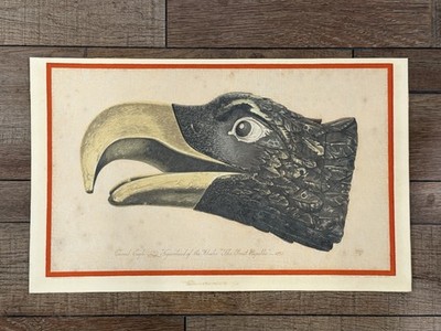 Whaling Ship Saalburg Engraving Print Eagle Figurehead The Great Republic 1853