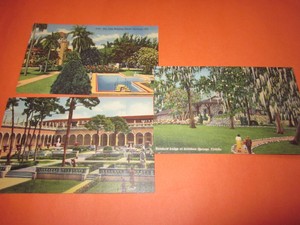 3-Vintage-Unused-Postcard-Florida-Themed-3