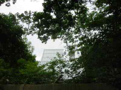 Photo 6x4 B.R.E. at Garston Bricket Wood They have allowed the trees to g c2005