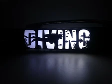 Scuba Diving / Lighted ink pen