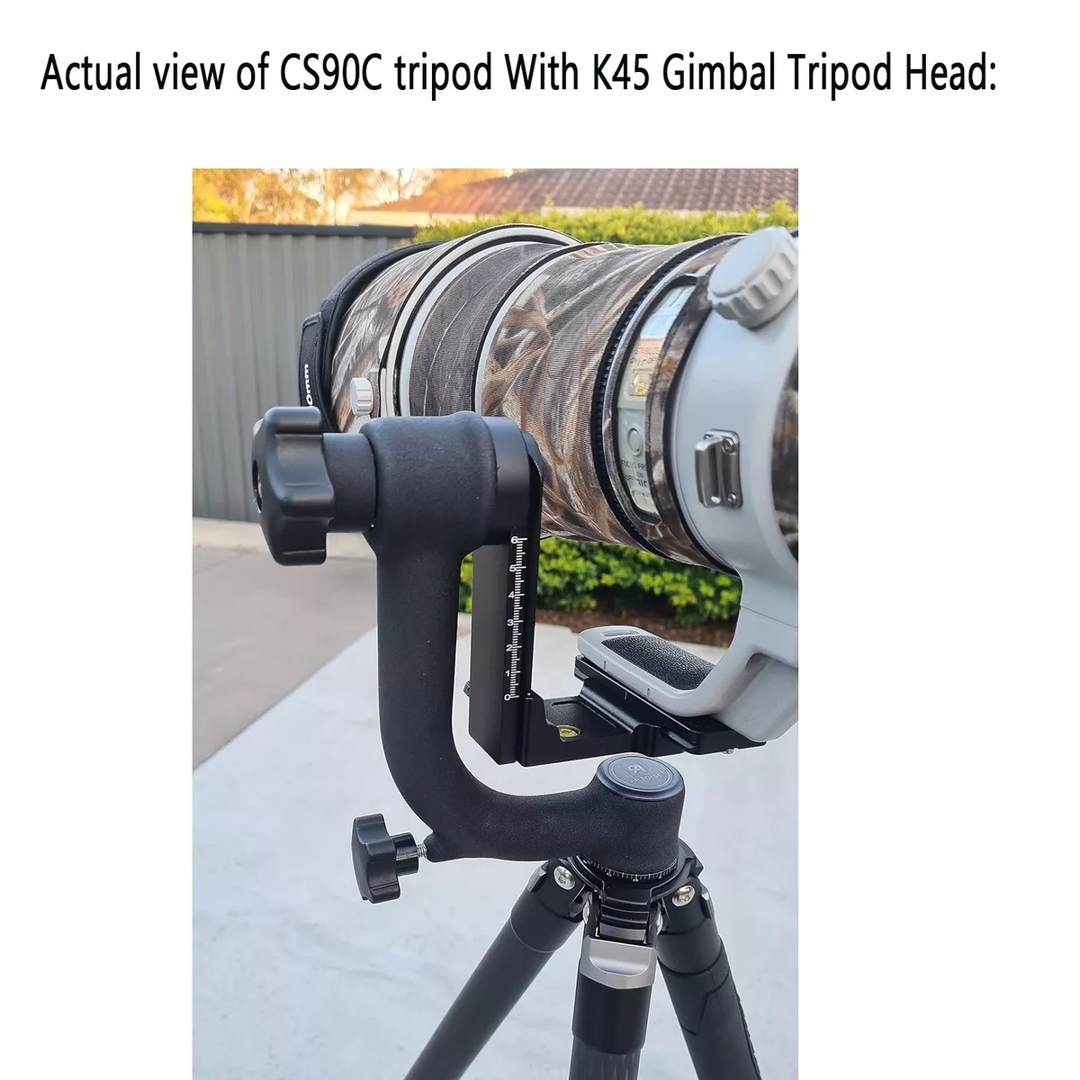 Gimbal sale head tripod