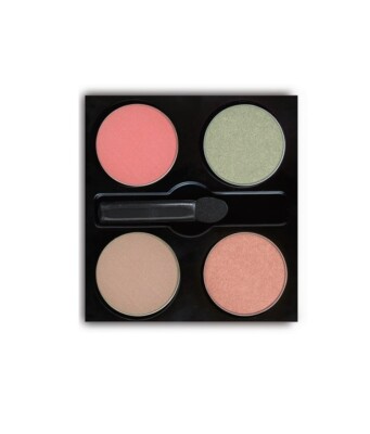 Eyeshadow palette, 4 Shades, New, Made in USA, Paraben Free