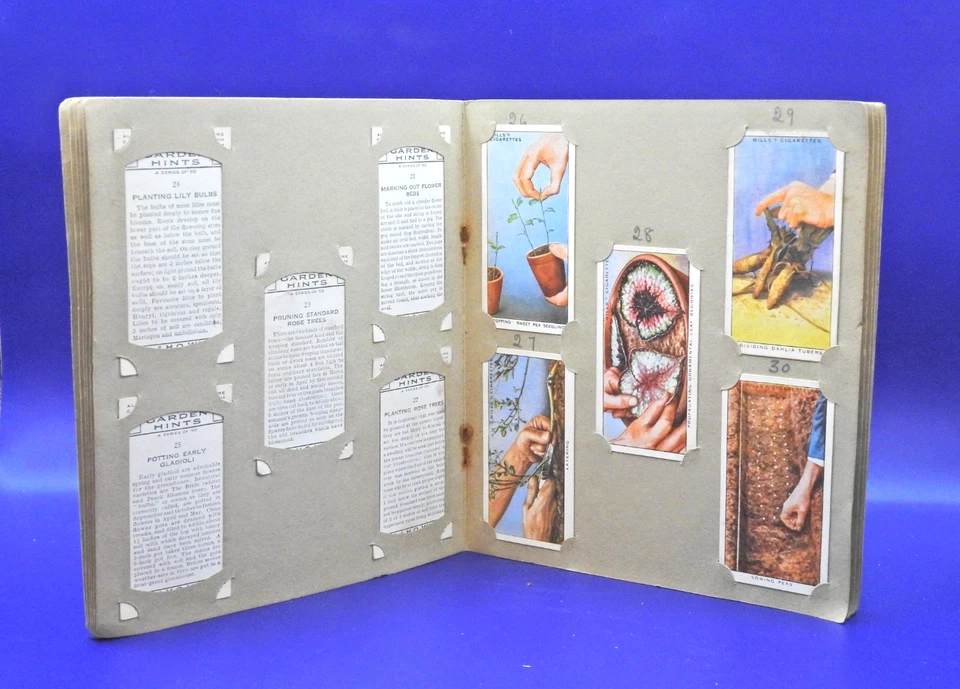 W.D. & H.O. WILLS Garden Hints Cigarette Cards Original Album Full Set of cards - Image 3 of 3