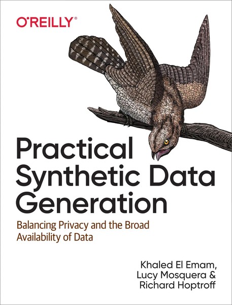 Practical Synthetic Data Generation | Khaled El Emam (U. A.) | Englisch | Buch-image