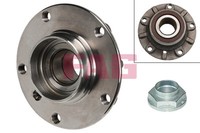 FAG 713 6671 90 Wheel Bearing Kit For BMW
