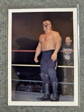 1988 NWA Wonderama PAUL ELLERING & ROAD WARRIOR ANIMAL #18 SET BREAK