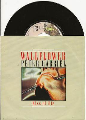 PETER GABRIEL WALLFLOWER RARE NETHERLANDS-ONLY SINGLE, GREAT PIC, NEW, MINT