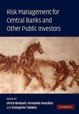 Risk Management for Central Banks and Other Public Investors by Ulrich Bindseil 