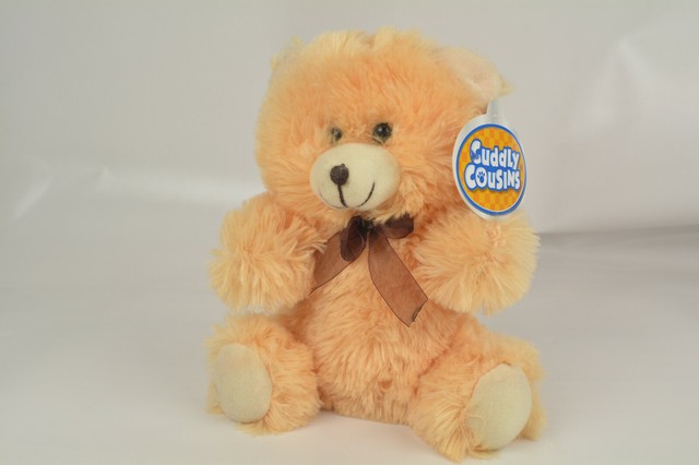 cuddly cousins bear